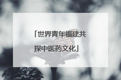 世界青年福建共探中医药文化